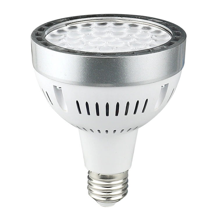 Osram Light Source Par30